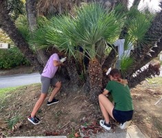 Powiększ zdjęcie zdjęcie%20z%20pobytu%20na%20praktykach