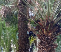 Powiększ zdjęcie zdjęcie z pobytu na praktykach