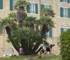 Powiększ zdjęcie zdjęcie z pobytu na praktykach