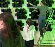 Powiększ zdjęcie zdjęcie do  artykułu o ogrodach wertykalnych