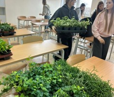 Powiększ zdjęcie zdjęcie do  artykułu o ogrodach wertykalnych