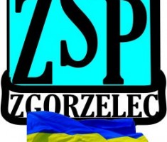 Przejdź do - Postępowanie na zakup i dostaww materiałów elektrycznych na potrzeby branżowego centrum umiejętności w Zgorzelcu