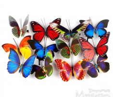 Przejdź do - Prośba Szkolnego Koła Wolontariatu