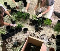 Powiększ zdjęcie ogrody wertykalne