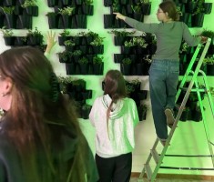 Powiększ zdjęcie ogrody wertykalne