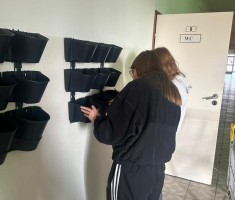 Powiększ zdjęcie ogrody wertykalne