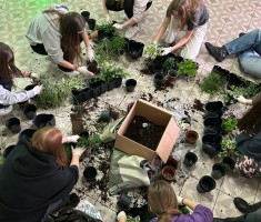 Powiększ zdjęcie ogrody wertykalne