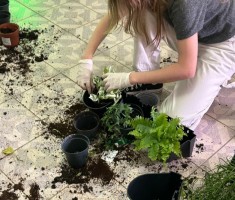 Powiększ zdjęcie ogrody wertykalne