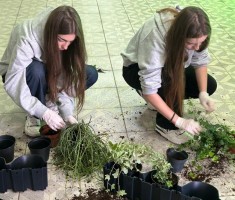 Powiększ zdjęcie ogrody wertykalne