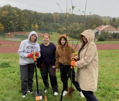 Powiększ zdjęcie zdjęcie sadu i pracowni sadownictwa