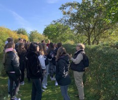 Powiększ zdjęcie zdjęcia z warsztatów