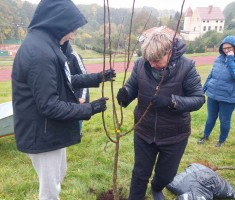 Powiększ zdjęcie zdjęcie sadu i pracowni sadownictwa