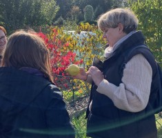 Powiększ zdjęcie zdjęcia z warsztatów